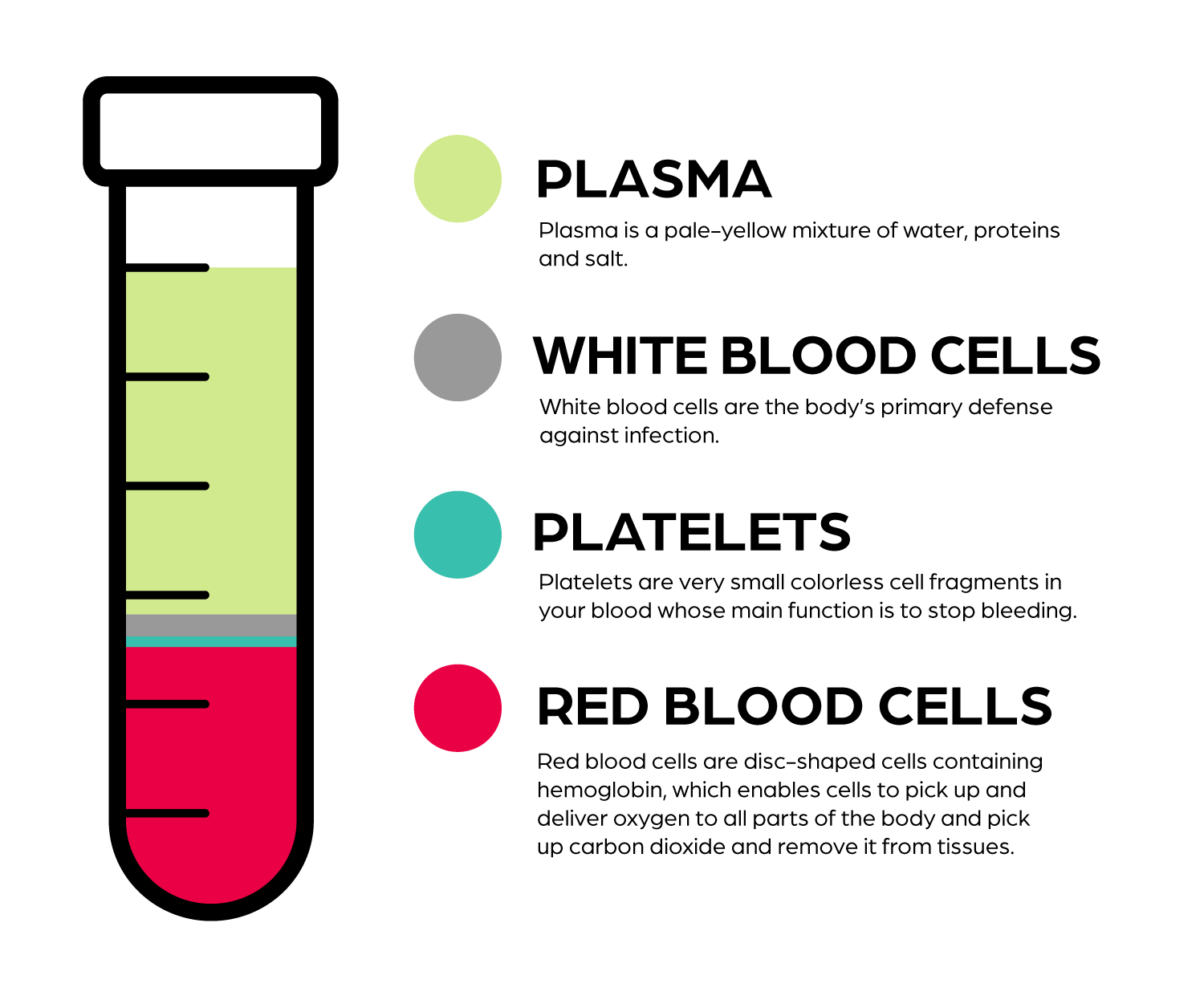 Blood Components - Plasma, White Blood Cells, Platelets, and Red Blood Cells